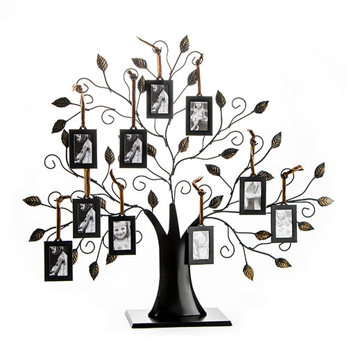 Family Tree Picture Frame Display with 10 Hanging Picture Photo Frames - Large 20 x 18 Metal Tree - 10 Ornamental 2x3 Frames